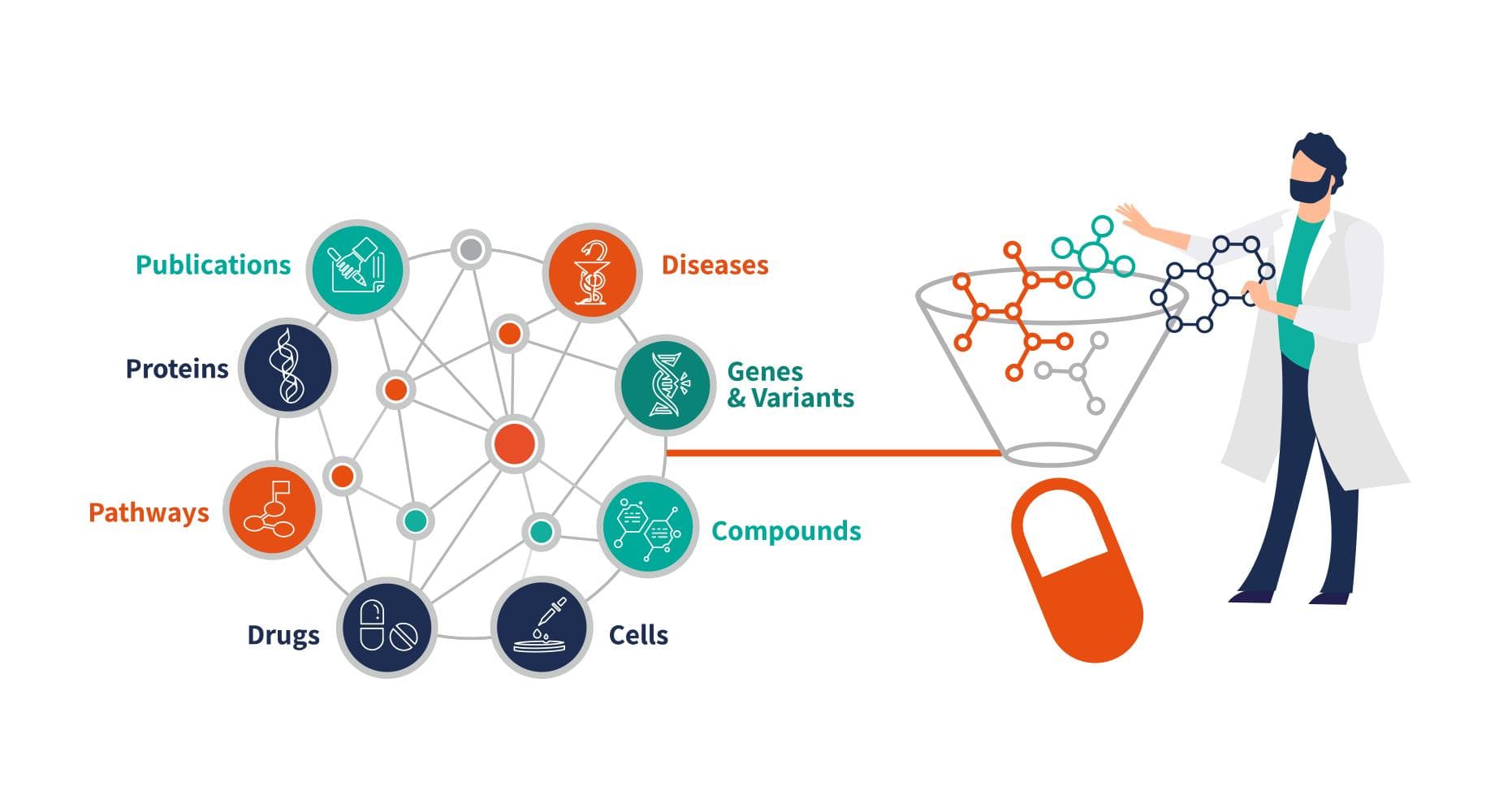 Illustration of a biomedical knowledge graph connecting entities like genes, proteins, diseases, and compounds. A scientist filters molecular relationships through a funnel into a pill, symbolizing how AI-powered graphs accelerate drug discovery and repurposing by uncovering novel data connections.