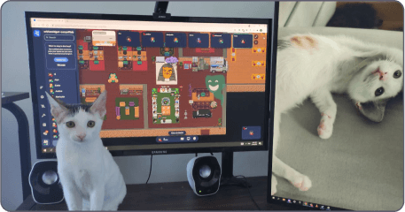 Mandatory traffic image