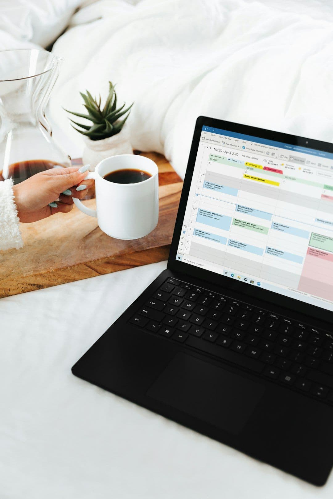 School Management Software interface showing student schedules and performance